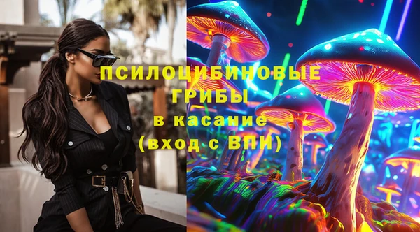дмт Заводоуковск