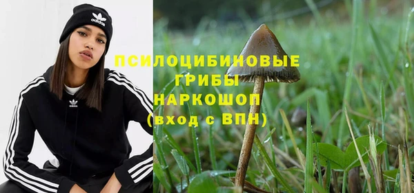 дмт Заводоуковск