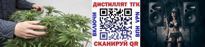 ТГК THC oil  Судогда 