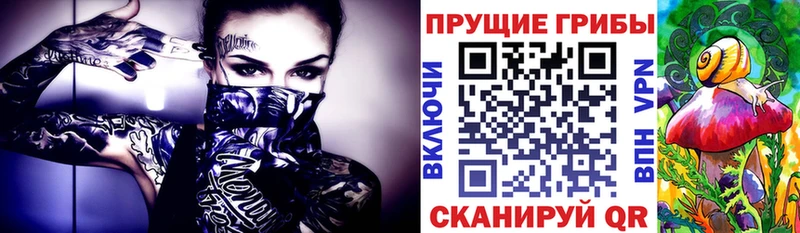 Псилоцибиновые грибы Cubensis  omg ТОР  Судогда 
